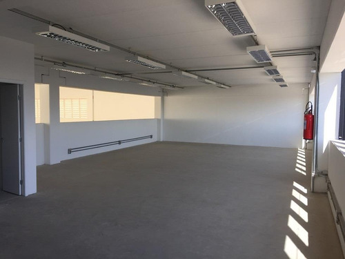 Imagem 10 de 11 de Galpão Em Parque São Lourenço, São Paulo/sp De 1975m² Para Locação R$ 35.700,00/mes - Ga2115748-r