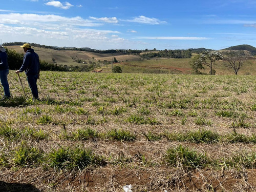 Imagem 13 de 14 de Q11- Terrenos Com Desconto A Vista