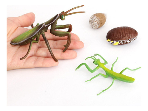- Juego De Una Mantis Religiosa - 4 Piezas