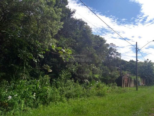 Imagem 6 de 7 de Terreno - Venda - Jd Palmeiras - Itanhaem - Ita2798