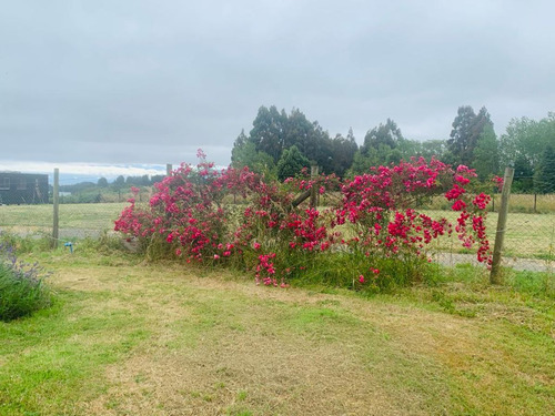 Linda Y Acogedora Cabaña En Arriendo, Puerto Varas