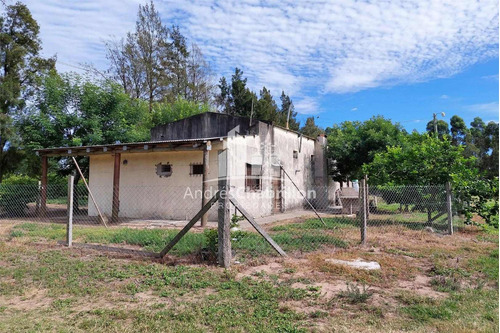 Imagen 12 de 15 de Campo En Venta De 20 Has. En Ruta Nacional 14