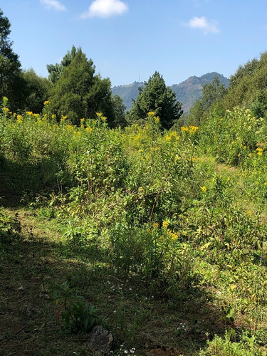 Terreno En  Venta En Malinalco