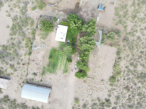 Campo En Venta En Las Catitas, Santa Rosa, Mendoza