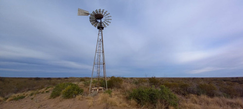 Imagen 8 de 19 de Campo 5000 Ha En El Dpto. Limay Mahuida- La Pampa
