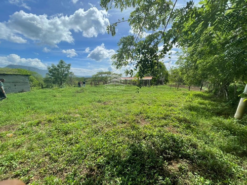 Imagen 8 de 17 de Finca En Venta Ubicada En San Jose De Sanare Estado Falcon.