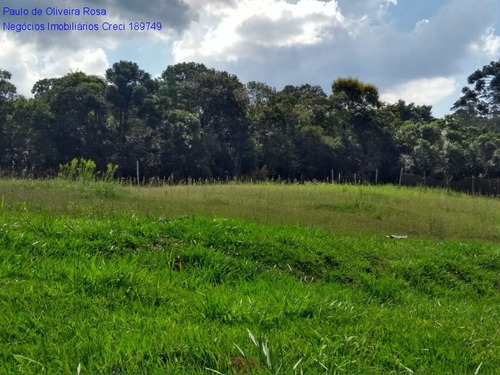 Imagem 12 de 17 de Terreno - Te00050 - 69320696