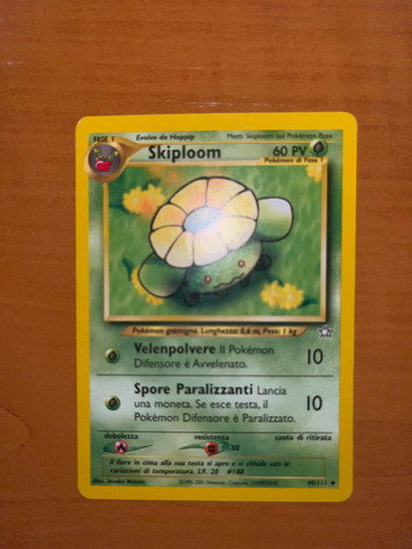 Skiploom 49/111