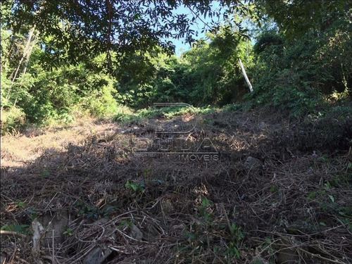 Imagem 6 de 15 de Terreno - Armacao Do Pantano Do Sul - Ref: 26833 - V-26832
