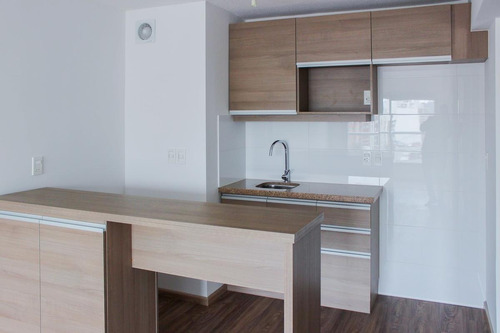 Venta Con Renta Apartamento 1 Dormitorio En Pocitos