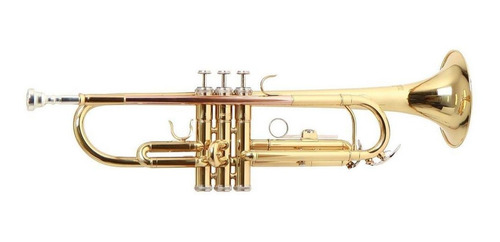 Trompeta Tonalidad Bb Tudel Ml C/estuche Roy Benson Tr-101