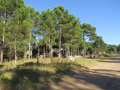 Imagen 1 de 3 de Lote En Venta En Pinamar-zona Alamos Ii