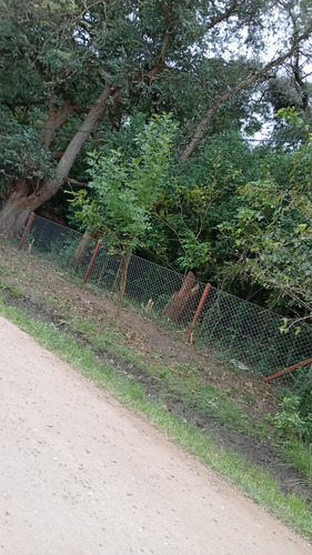 Terreno Y Lote En Venta