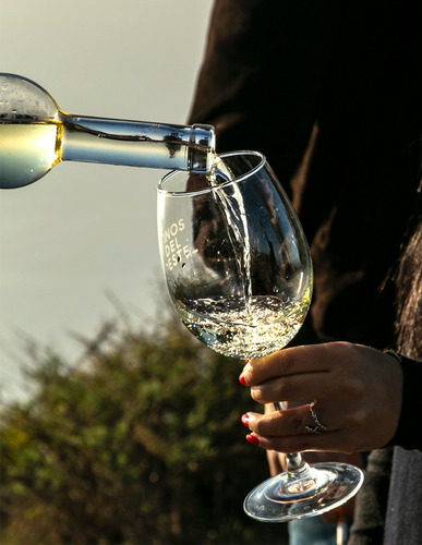Vino Blanco Chardonnay Y Vino Tinto Especial Juego De Pelota