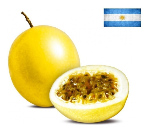 Planta De Maracuyá (50cm)- Mburucuyá (el De Fruta Amarilla)