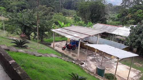 Imagen 6 de 18 de (yia173) Vendo Hermosa Finca En Canoabo , Montalban