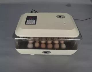 Incubadora Nacedora Automática De 24 Huevos De Gallina