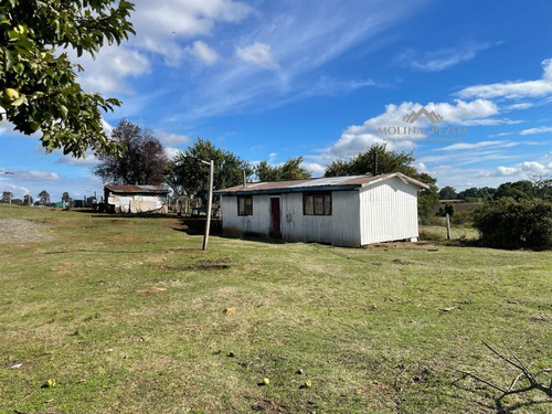 Sitio En Venta En Curacautín