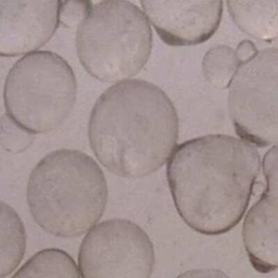 Zoro Select Glb5070-50 Blast Media,glass Beads,50 To 80 Aad