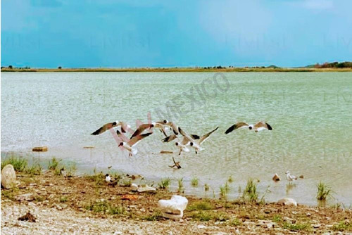 Quinta En Venta, Fraccionamiento Campestre La Hacienda, En China Nuevo León, A 3 Minutos De La ...