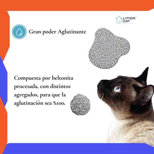 Arena Sanitaria Para Gatos Gatitos Litter Cat Aglutinantes