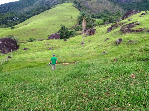 Chácara Serra Do Brigadeiro - Araponga - 4322