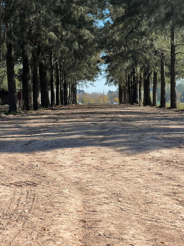Lotes - Terreno En Venta - Barrio Abierto - Las Merceditas