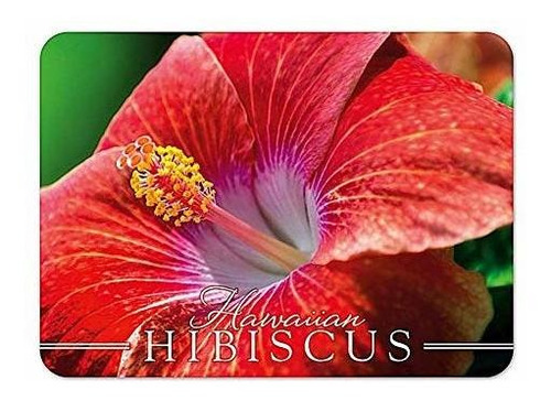 Hawaii Die-cut Tin Magnet Coral Hibiscus