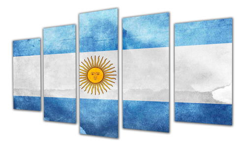 Cuadro 60x100cm Bandera Argentina Patria Nacion Celeste P3