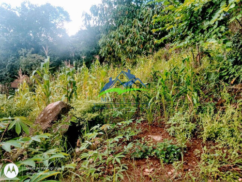Imagem 3 de 8 de Terreno Residencial Bairro Do Portão / Escritura - 374