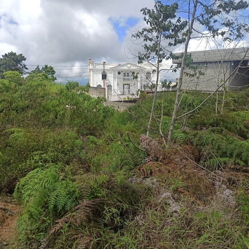 Imagen 3 de 17 de Espectacular Terreno En Venta Para La Construcción De Casa Residencial Club De Campo, Una De Las Mejores Urbanizaciones De Los Altos Mirandinos 23-2939