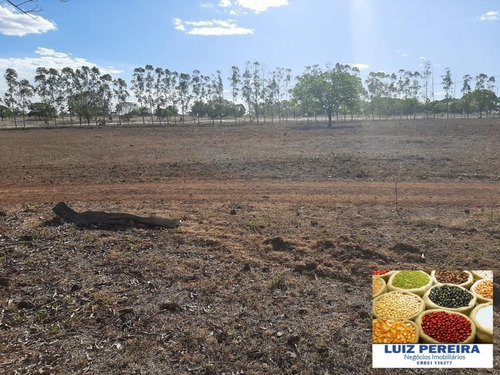 Fazenda À Venda Em Dueré/vale Do Araguaia -to - (dupla Aptidão) - 1537