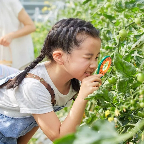 48 Piezas Kit De Aventura Juguetes De Exploración Para Niños