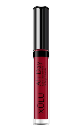 Imagen 4 de 7 de Kit De Labios All Day Xulu Cosmeticos