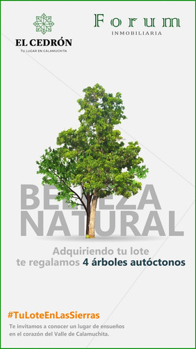 Compra Tu Lote: El Cedrón: Va. Ciudad Parque Los Reartes