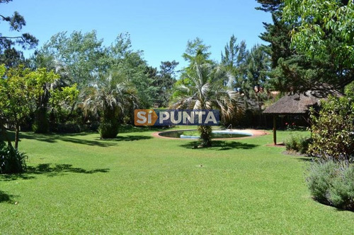 Imagen 8 de 10 de Casa En Venta - Lugano