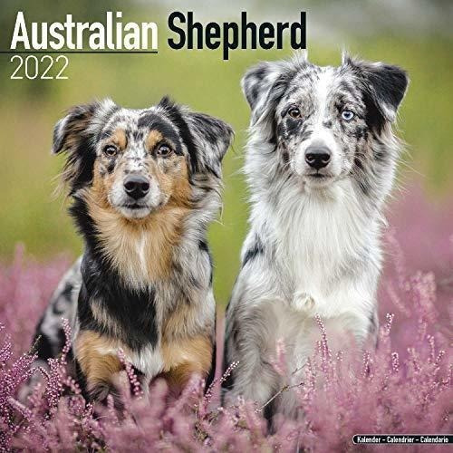 Australian Shepherd Calendar - Dog Breed Calendars -, de MegaCalendars. Editorial Dream Publishing en inglés