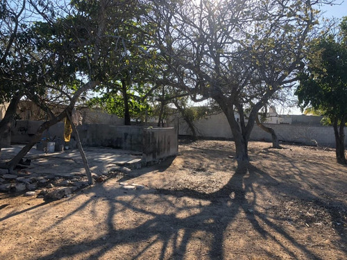 Imagen 8 de 16 de Terreno En Venta En Puerto Progreso, Yucatán
