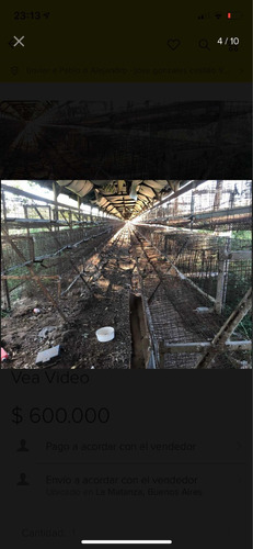 Jaula Para 20 Gallinas Ponedoras Stock Granja X Cese Envío