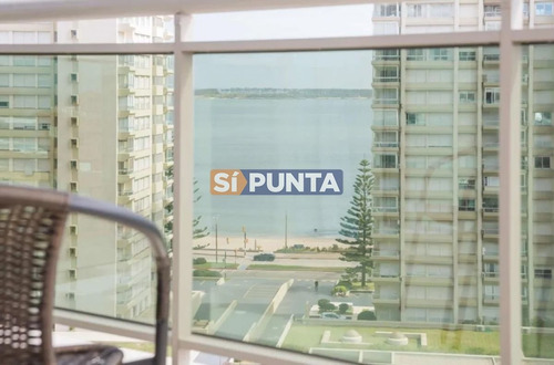 Imagen 8 de 8 de Apartamento En Venta - Brava