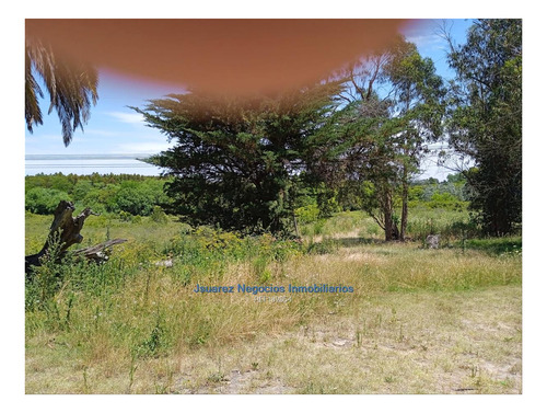 Imagen 6 de 22 de Js: Venta Excelente Chacra Abayuba Cw189854