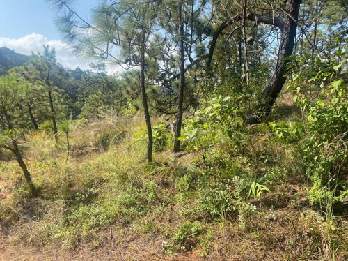 Terreno En Venta En Ex Hacienda San Lucas Del Pulque.