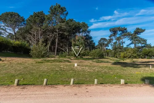 Venta Terreno Pinar Del Faro, 1000 Mts (pfg11)