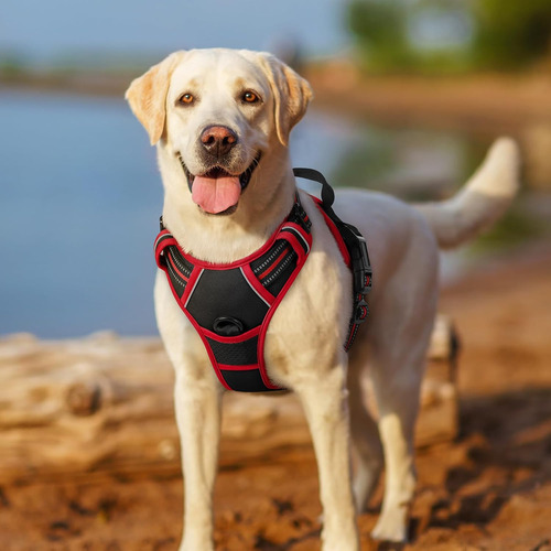 Arnés Para Perro Rabbitgoo, Sin Tirones, Ajustable, Talla L