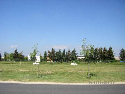Imagen 3 de 5 de Terreno - San Benito