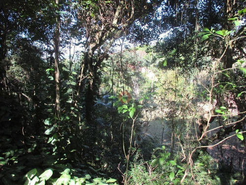 Imagem 4 de 7 de Terreno Residencial À Venda, Vila De São Fernando, Cotia - Te0891. - Te0891