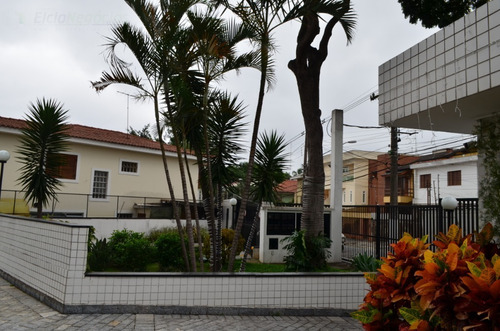 Apartamento Para Venda, 3 Dormitórios, Vila Albertina - São Paulo - 2699