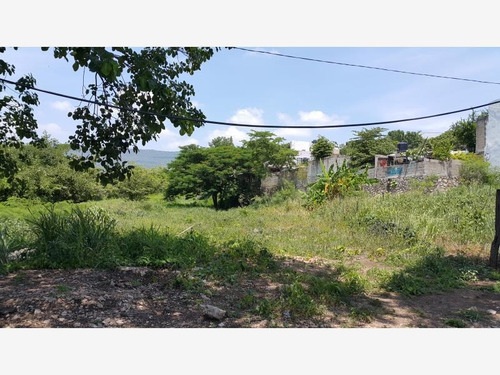Imagen 3 de 5 de Terreno - Chiapa De Corzo