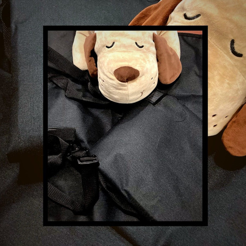 Forro Protector De Asientos Cama Para Perros Con Cinturón