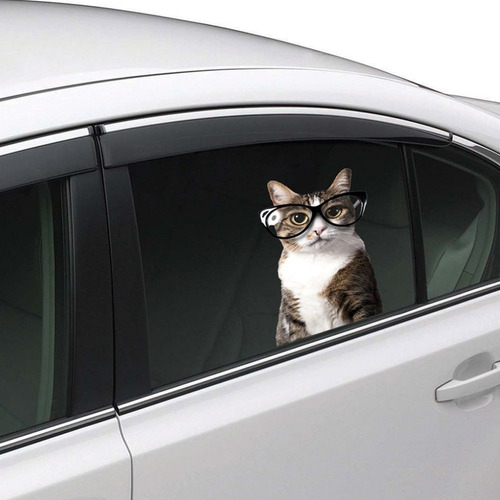 Adherible Cling Para Vetanas Gato Colorbok Automovil Calcoma